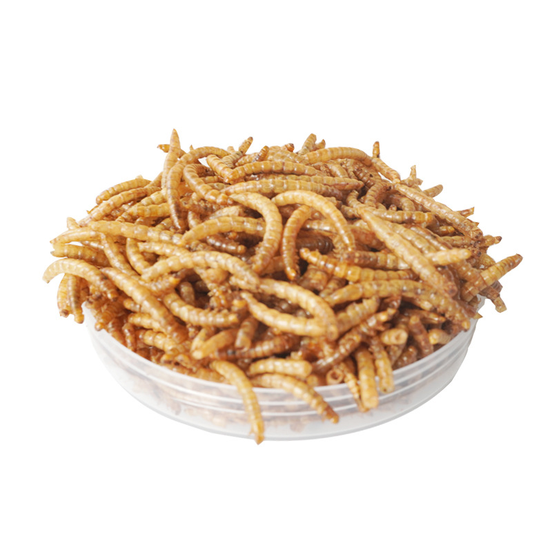 High-Protein Snacks Hamster Fo - Food And Snacks High In Protein ulasan dan harga
