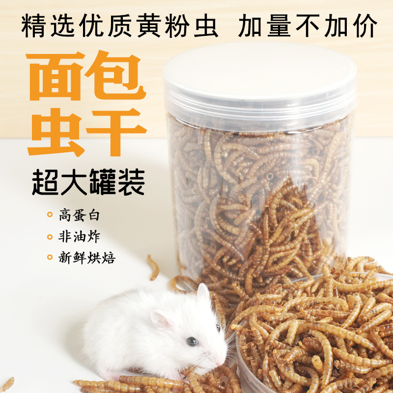 High-Protein Snacks Hamster Fo - Food And Snacks High In Protein ulasan dan harga